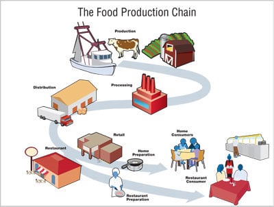 Food Production Food Production