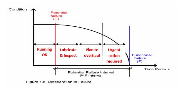 Ultrasound Example