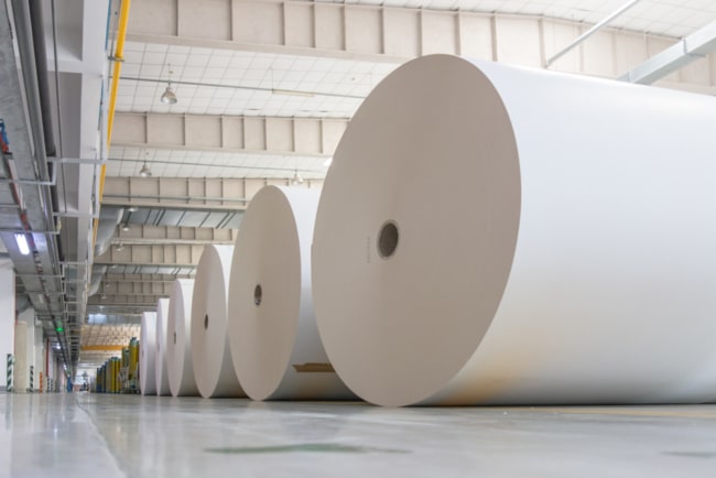 Paper Production Sector